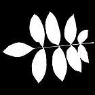 Filename=leaf_mask_00392.jpg
Filesize=40KiB
Dimensions=640x640
Date added=Sep 14, 2006 leaf_mask_00392.jpg
