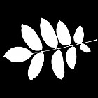 Filename=leaf_mask_00399.jpg
Filesize=38KiB
Dimensions=640x640
Date added=Sep 14, 2006 leaf_mask_00399.jpg