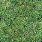 greenFence1_tileable.jpg