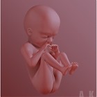 3d artist gallery 3d artist gallery