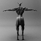 Centaur_back.jpg