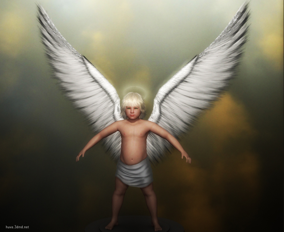Angel  D Model  