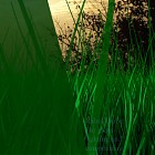 Grass-fur-rahulthube.jpg