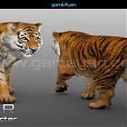 3D_Tiger_Animal_Character_Modeling_-GameYan.jpg